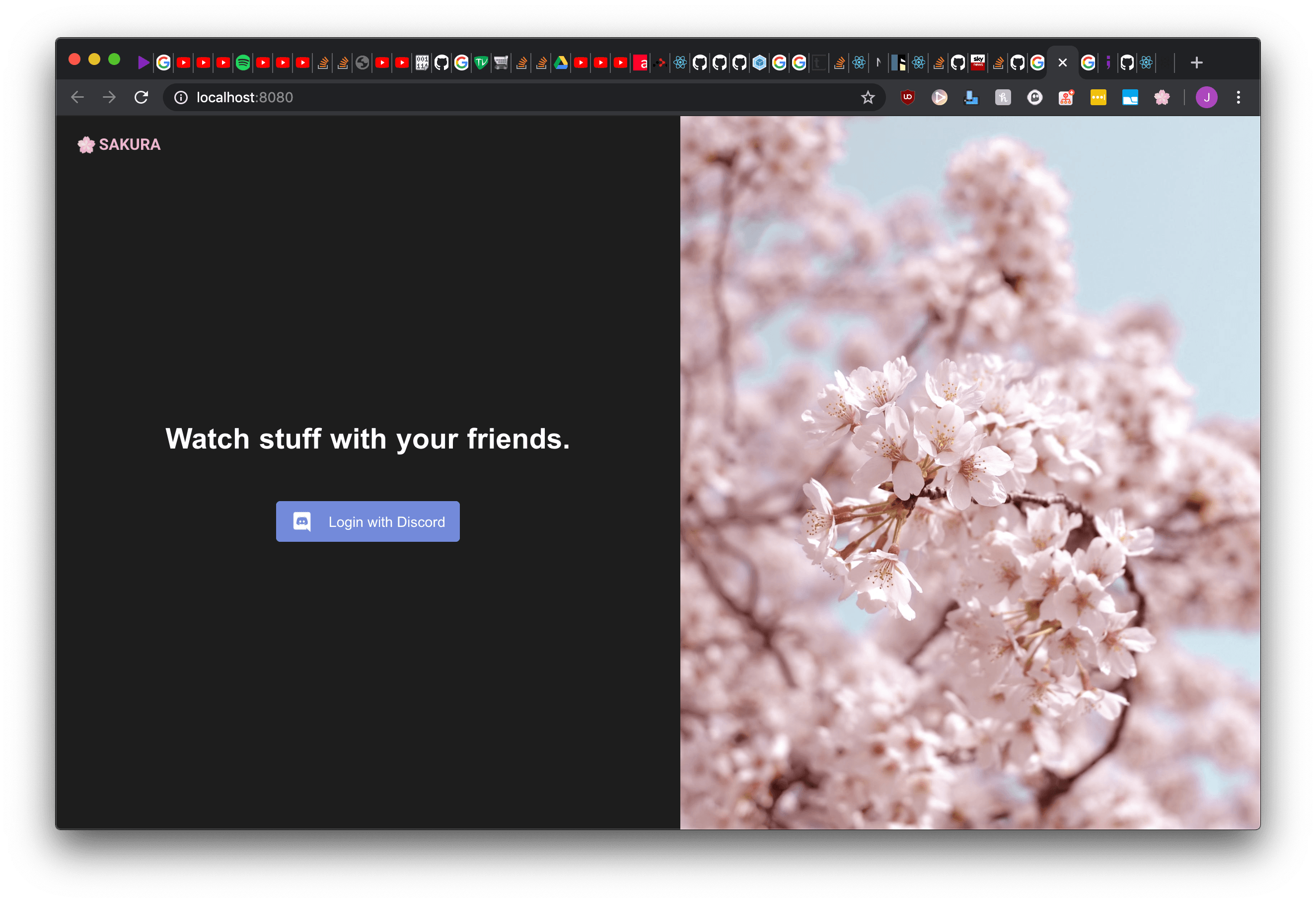 Sakura Web Initial Design